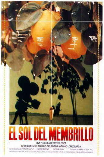 El sol del membrillo 在线观看和下载完整电影