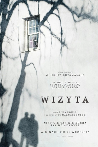 Okładka filmu Wizyta