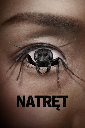 Okładka filmu Natręt