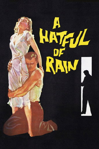 A Hatful of Rain 在线观看和下载完整电影