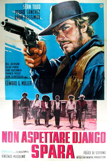 Okładka filmu Nie czekaj Django, strzelaj