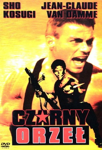 Okładka filmu Czarny Orzeł