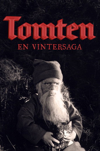 Okładka filmu Tomten: En vintersaga