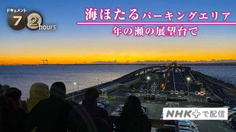 Seeing Out 2020 in the Heart of Tokyo Bay