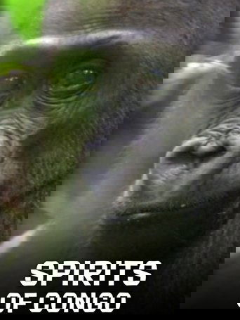 Spirits of Congo