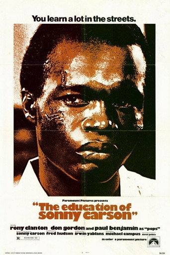 The Education of Sonny Carson 在线观看和下载完整电影
