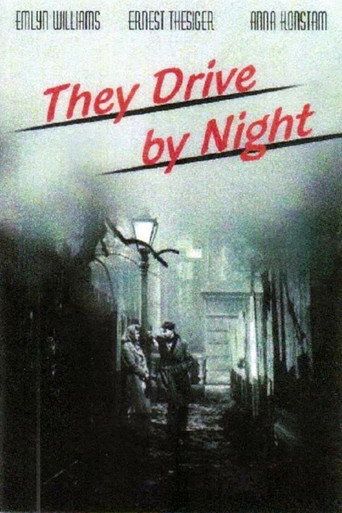 They Drive by Night 在线观看和下载完整电影