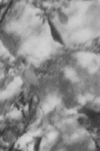 Fragment