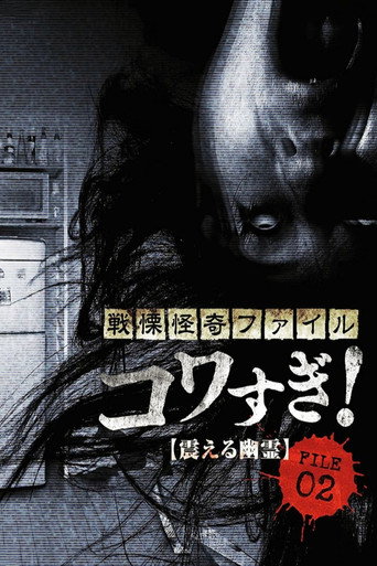 Okładka filmu 戦慄怪奇ファイル コワすぎ！ FILE-02 震える幽霊