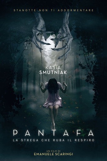 Okładka filmu Pantafa