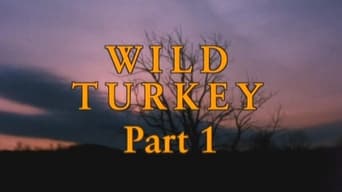 Wild Turkey - Part 1
