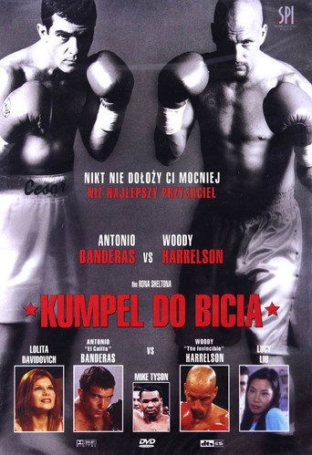 Okładka filmu Kumpel do bicia