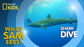 Shark Dive