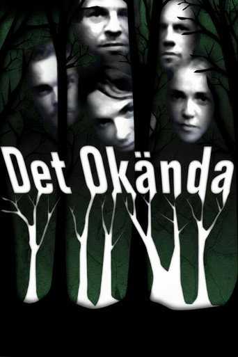 Okładka filmu Det okända.