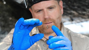 Finding World War II's Lost Prisoners