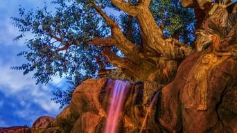 Sunrise at DISNEY’S ANIMAL KINGDOM® Park