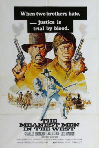 The Meanest Men in the West 在线观看和下载完整电影