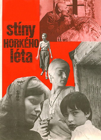 Stíny horkého léta 在线观看和下载完整电影