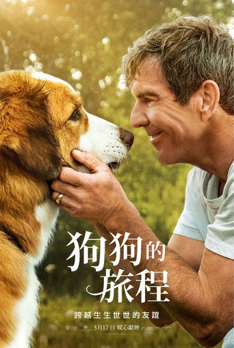 A Dog's Journey 在线观看和下载完整电影