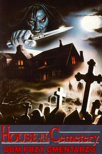 Okładka filmu Dom przy cmentarzu