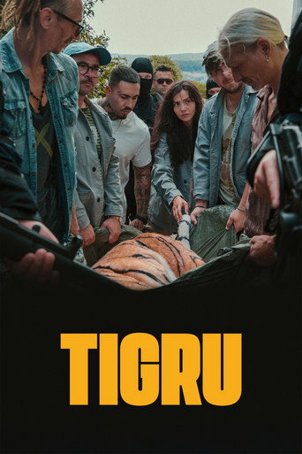 Okładka filmu Tigru
