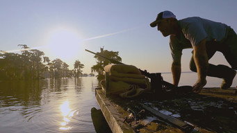 No Easy Gator