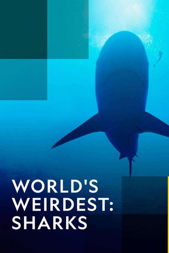 World's Weirdest: Sharks 在线观看和下载完整电影