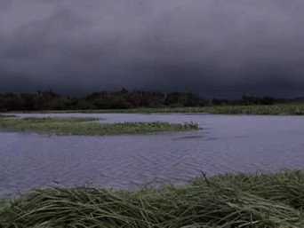Voodoo Bayou