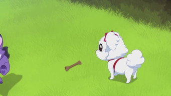 Puppylove