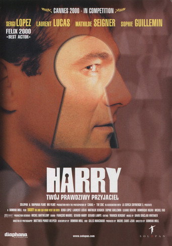 Okładka filmu Harry, twój prawdziwy przyjaciel