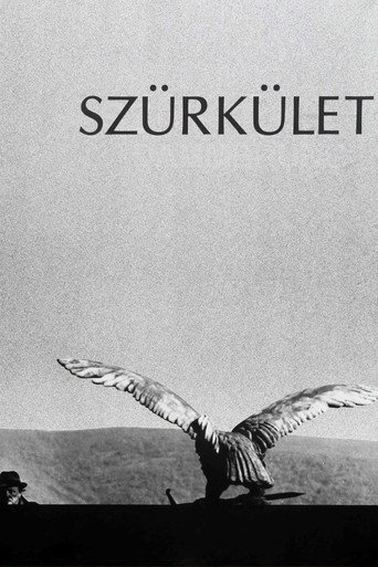 Okładka filmu Szürkület