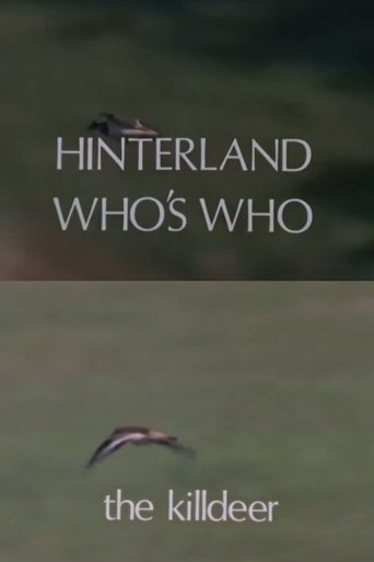 Hinterland Who's Who: Killdeer