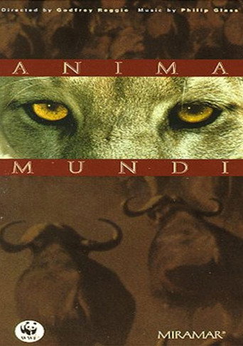 Anima Mundi 在线观看和下载完整电影