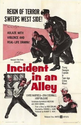 Incident in an Alley 在线观看和下载完整电影