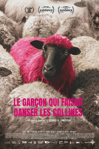 Affiche de Le Garçon qui faisait danser les collines