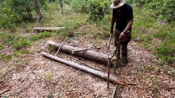 Supersized Deadfall Trap