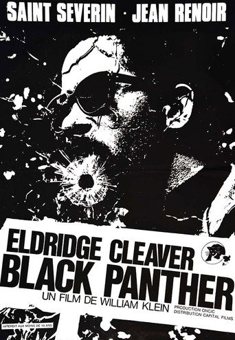 Eldridge Cleaver, Black Panther 在线观看和下载完整电影