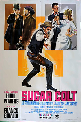 Sugar Colt 在线观看和下载完整电影
