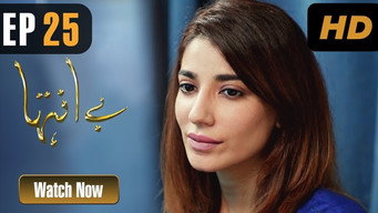 Be Inteha poster