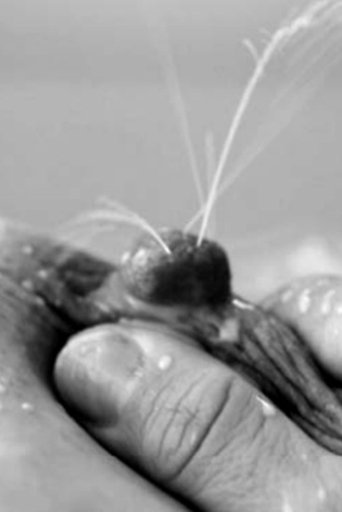 Mamíferas: el hilo de Ariadna