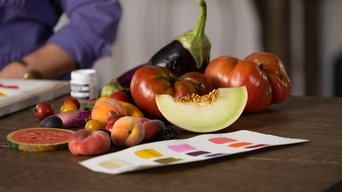 Summer Harvest Still Life