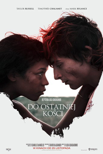 Okładka filmu Do ostatniej kości