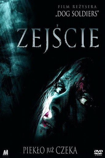 Okładka filmu Zejście