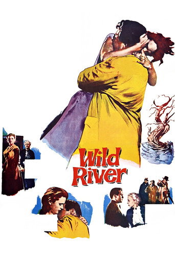 Wild River 在线观看和下载完整电影
