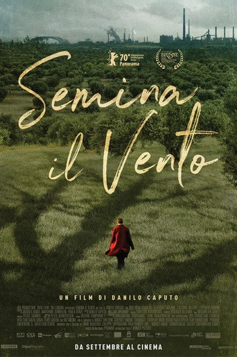 Semina il vento 在线观看和下载完整电影