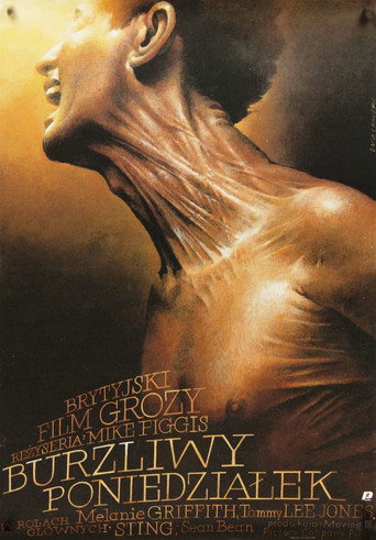 Okładka filmu Burzliwy poniedziałek