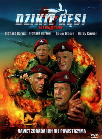 Okładka filmu Dzikie gęsi