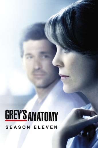 Grey s Anatomy Season 11