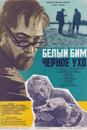 Okładka filmu Белый Бим Чёрное ухо