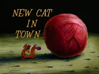 New Cat in Town